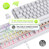 Rk87 Sink87G Rgb 80% Mechanical Keyboard, Wireless 2.4G Tenkeyless Mechanical