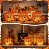 2 Pack Fall Pumpkin Decor, Woven Resin Pumpkins for Indoor Home