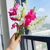 Artificial Delphinium Flowers,Artificial Silk Flowers Hyacinth,Silk Flowers With Stems,Faux Flower Stems For Wedding,Party,Floral Arrangements Home Centerpiece Table Decoration (6, White Red)