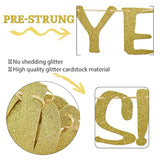 Holy We'Ve Lasted 10 Years Banner, 10Th Wedding Anniversary Party Decorations, Funny Decor For Him Her Husband Wife Parents, Pre-Strung, Gold Glitter