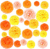 Paper Pom Poms, 25 Pcs of 6, 8, 10, 12, 14 Inch Flower Balls, Tissue Hanging Paper Pom Poms for Birthday, Wedding, Baby Shower Party Decorations (Orange)