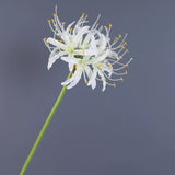 4Pcs Artificial White Spider Lily Flowers 26" Faux Lycoris Radiata Silk Equinox Flowers For Vase Bouquets Home Office Wedding Decor(White)