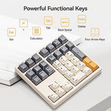 Kn34 Wired Mechanical Number Pad- 34 Keys Hot Swappable Numeric Keypad With White Backlight& Pbt Keycaps For Laptop, Macbook, Pc Desktop, Compact Keyboard(Retro Beige,Brown Switch)