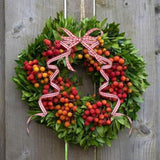 Red Gingham Ribbon, 3/8" X 50Yd Red And White Thin Crafts Ribbon Buffa