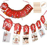 Farm Animal 1st Birthday Photo Banner – Newborn to 12 Month Milestone Party Decoration