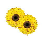 Set Of 2 Yellow Sunflower 24" Foil Party Balloon