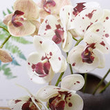 5 Pcs Artificial Orchid Flowers And 2 Bundles Leaves?White With Spots Artificial Phalaenopsis Flowers 28 Inch Stem Plants For Home Wedding Decoration