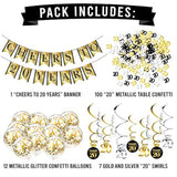 20Th Birthday And Anniversary Decorations Party Pack - Cheers To 20 Years Banner, Balloons, Swirls And Confetti Party Supplies
