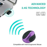 Usb Nano Receiver Ergonomic Mouse-Black