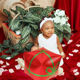 6 Pcs Red Green Present Box Balloons for Christmas, New Year, and Birthday Parties
