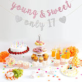 Young & Sweet Only 17 Banner - Happy 17Th Birthday Party Decor For Girls - Cheers To 17 Years Party Decorations Supplies, Pink & Silver Glitter