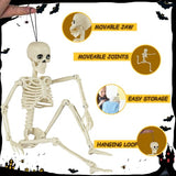 6 Packs Skeleton Halloween Decorations Outdoor with 16" Full Body Posable Joints Skeletons Decor, Halloween Party Decor Indoor, Yard Garden Lawn Graveyard Haunted House Props Spooky Party Decorations