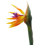 32'' Real Touch Bird Of Paradise Artificial Flowers Bouquet For Home Garden Decoration/Wedding Party Decor Orange (Package Quantity: 5 Stems)