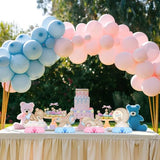 Gender Reveal Party Decorations, Blue Pink Bear Honeycomb Centerpieces, Baby Shower Table Decorations, What Will Baby Be Bear Theme Party Supplies