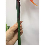 Large Bird Of Paradise 32 Inch Permanent Flower,Uv Resistant No Fade Flower Part Is Made Of Soft Rubber Pu,Artificial Flower Plants For Home Office 2 Pcs (Orange Red)