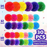 30 Pcs Large Tissue Paper Pom Poms 14 12 10 Inch, Multicolor