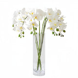 6 Pcs Artificial Orchids Stems 27" Tall 9 Heads Artificial Phalaenopsis Flowers Real Touch Orchids Flowers For Home Wedding Indoor Outdoor Vase Décor (White)