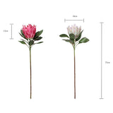 1 Pcs 75 Cm The King Protea (Protea Cynaroides) Artificial Flowers Plants For Home Garden Wedding Party Decoration (Beige, 1)