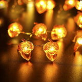 Thanksgiving Decorations Acorn Lights String 10Ft 40 Leds Fairy String Lights Battery Operated With Remote Fall Lights F