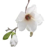 1Pc White Artificial Magnolia Fake Silk Flower Single Floral Home Decor Living Room Bedroom Garden Party Wedding Decoration In Pots Vase For Desk Table ?Artificial Flowers ?Home Décor