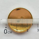 Gold Round Plastic Buttons 2 Holes Sewing Craft 25Mm 30Pcs