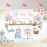 Gender Reveal He Or She Pink Photography Backdrop