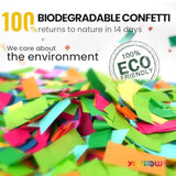 Confetti Cannon Party Poppers Biodegradable Shooters, (6 Pack) Multicolor Confetti Blaster For Birthday Graduation Wedding Christmas New Year’S Eve