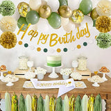 Sage Green Birthday Party Decorations With Happy Birthday Banner,Gold Fringe Curtain,Circle Dots Garland,Tissue Pompoms,Paper Tassels Garland For Girls Women For Party Decor (Sage Green)