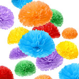 48 Pcs Tissue Paper Pom Poms 14''/ 12''/ 10''/ 8''/ 6'' Tissue Paper Flowers Decorations for Wedding Birthday Bridal Shower Baby Shower Decor (Rainbow)