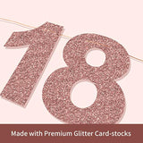 Pre-Strung She’s 18 Bitches Banner Rose Gold Glitter Funny 18th Birthday Decor