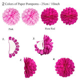 Pink Party Decorations - Happy Birthday Banner, Curtains, Paper Pompoms, Fans, Garland, Confetti Balloons