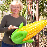 2Pack PVC Corn Balloons - 24" Inflatable Corn Cob for Harvest & Thanksgiving Decor