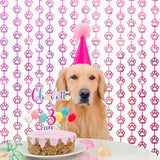 Pink Dog Birthday Party Decorations: Paw Print Foil Fringe Curtains