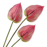 3Pcs Artificial Anthurium Lily Flowers For Home Decor Dining Table Centerpiece Prom Party Decor (Pink)