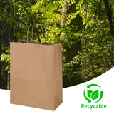 50 Pack 10X5X13 Plain Natural Brown Kraft Paper Bags With Handles Bulk For Birthday Party Favors Grocery Retail Shopping Business Goody Recycled Craft Gift Bags (Large Size, 50 Count)