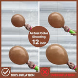 Brown Balloon Arch Kit: Boho Neutral Coffee Latex Balloons (85pcs)