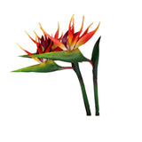 Large Bird Of Paradise 32 Inch Permanent Flower,Uv Resistant No Fade Flower Part Is Made Of Soft Rubber Pu,Artificial Flower Plants For Home Office 2 Pcs (Orange Red)