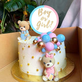 Bear Cake Toppers & Gender Reveal Balls Boy/Girl Shower Party Decorations