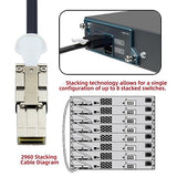 2960 Flexstack Stacking Cable Cab-Stk-E-0.5M Compatible For Catalyst 2960S 2960X 2960Xr Networking Switch 20Gbps 40Gbps