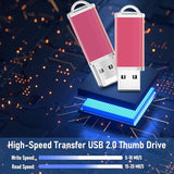 2Gb Usb Flash Drive 1 Pack Thumb Drives Zip Drive Usb 2.0 Jump Flash Drive Memory Stick 2Gb With Lanyards (Pink)