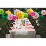 Party Decorations Kit Hanging Paper Fan Tissue Pom Poms Flowers Honeycomb Balls Paper Lantern For Trial Baby Shower First Birthday Bridal Shower Summer Decorations Hawaiian Luau Beach Supplies