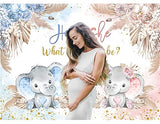 Boho Elephant Gender Reveal Backdrop He or She What Will Baby Be Gender Reveal Party Decorations Pink Blue Pampas Grass Photography Background Boy or Girl Baby Shower Photoshoot Props 7x5ft