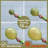 Sage Green Balloon Garland Kit: 100 Matte Boho Party Balloons