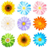 63Pcs Spring Flowers Cutouts Paper With 100Pcs Glue Points For Wall Bulletin Board Decorations Or Theme Party Or Classroom Decor Supplies