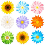 63Pcs Spring Flowers Cutouts Paper With 100Pcs Glue Points For Wall Bulletin Board Decorations Or Theme Party Or Classroom Decor Supplies