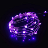 2 Pack Battery Operated Mini Led Lights,Indoor Fairy Lights With Timer 6 Hours On/18 Hours Off For Christmas Party Decor