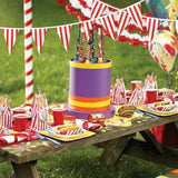 100ft Red & White Checkered Pennant Flags 48 Pcs Reusable Racing Banners