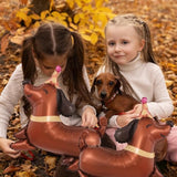 5 Pcs Dog Birthday Balloons Dachshund Shaped Puppy Foil Mylar Pet Party Decorations