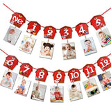 Farm Animal 1st Birthday Photo Banner – Newborn to 12 Month Milestone Party Decoration
