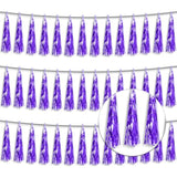 3P Metallic Fringe Tassel Banner Garland Foil Tinsel Streamer Wall Hanging Curtain Backdrop Banner For Parade Floats,Graduation Decorations, Father'S Day Party Decoration(Purple)
